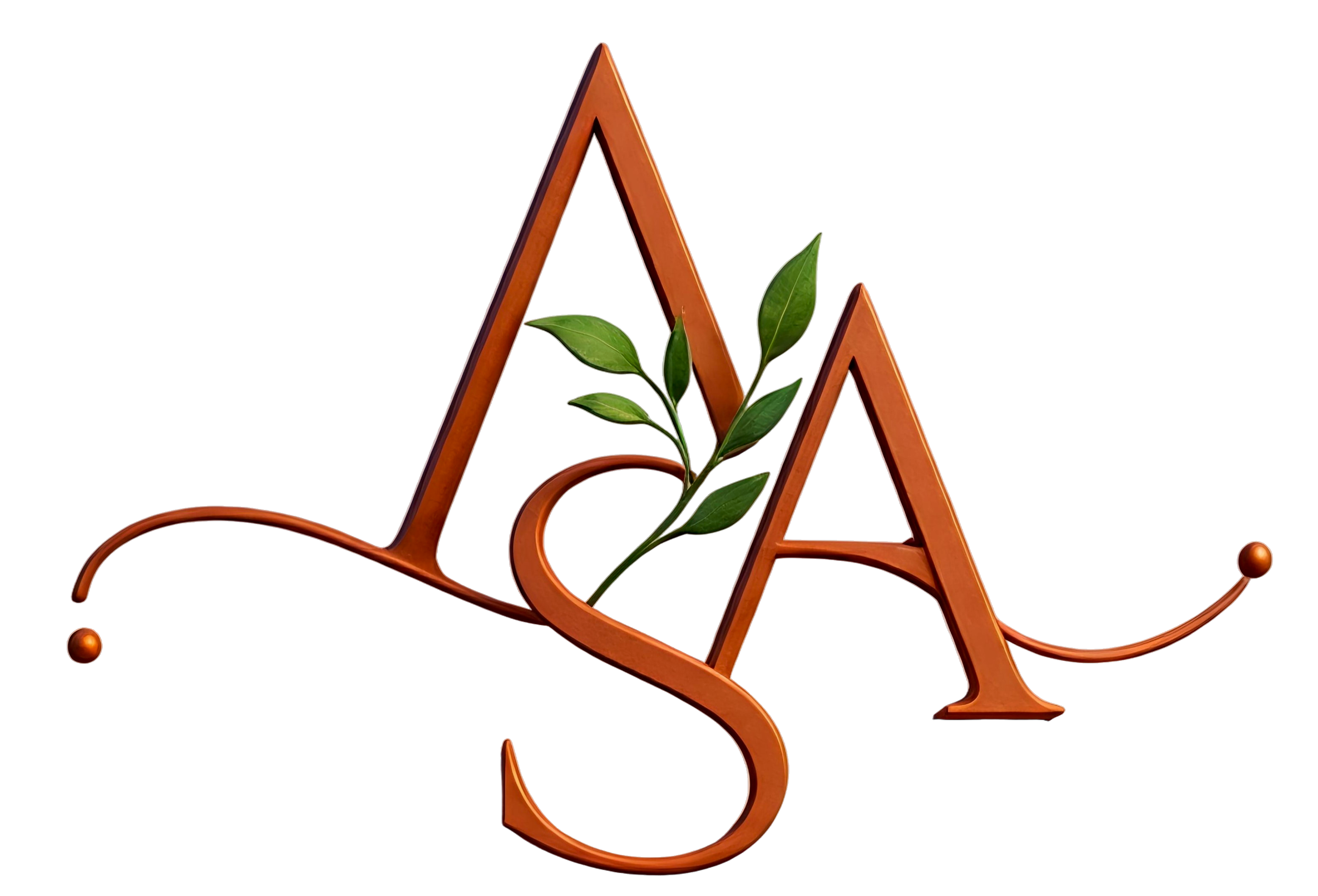THE AAS Logo